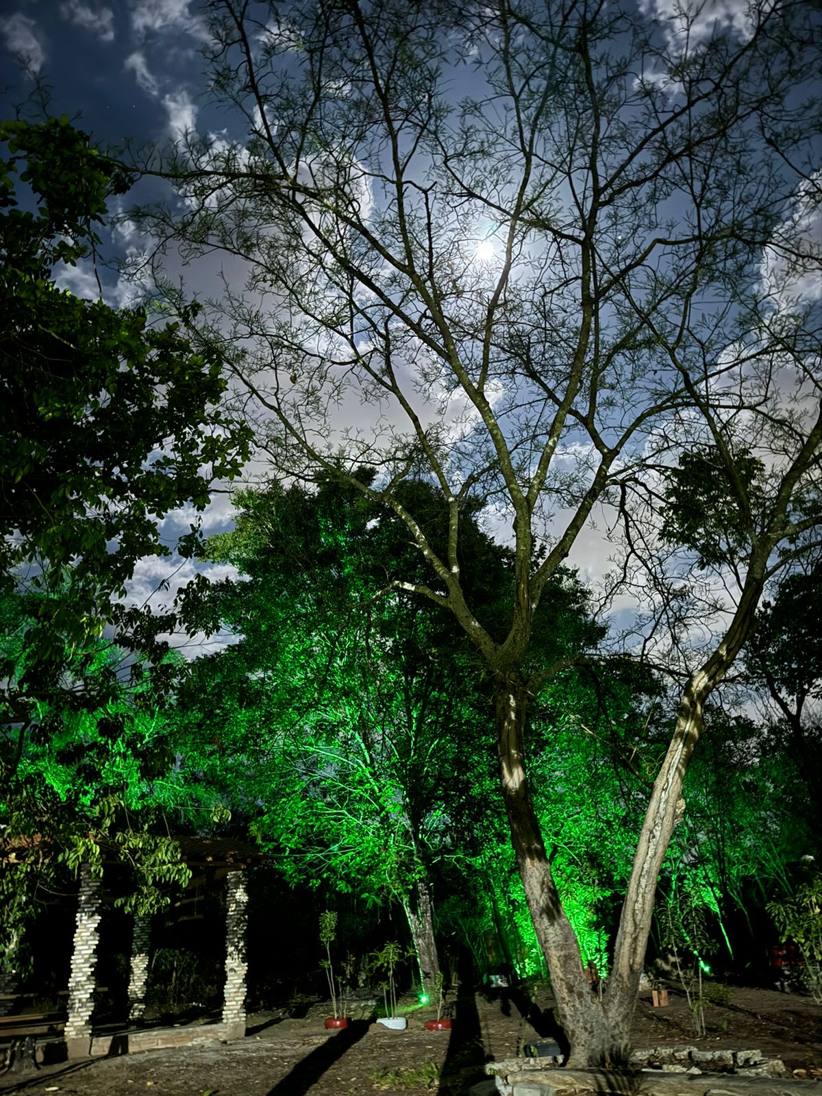 Fogueira - 4